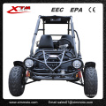 Adults Racing Monster 2 Seat Rental 150cc Buggy